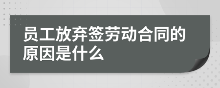 员工放弃签劳动合同的原因是什么