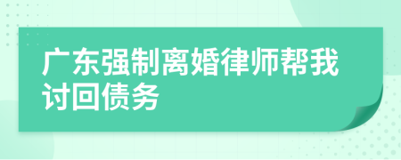广东强制离婚律师帮我讨回债务