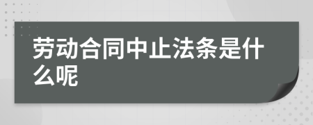 劳动合同中止法条是什么呢