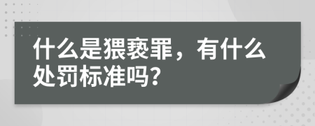 什么是猥亵罪，有什么处罚标准吗？