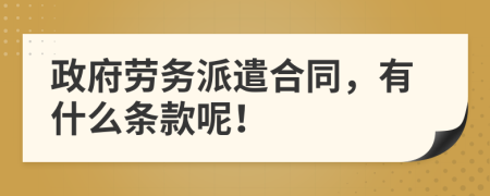 政府劳务派遣合同，有什么条款呢！