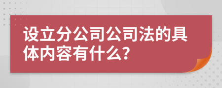 设立分公司公司法的具体内容有什么？