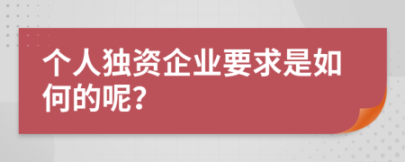 个人独资企业要求是如何的呢？