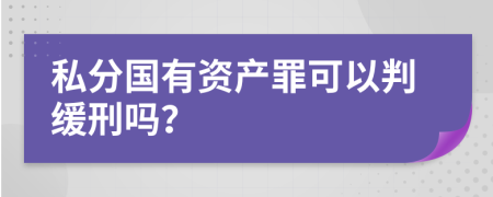 私分国有资产罪可以判缓刑吗？