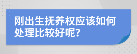 刚出生抚养权应该如何处理比较好呢？