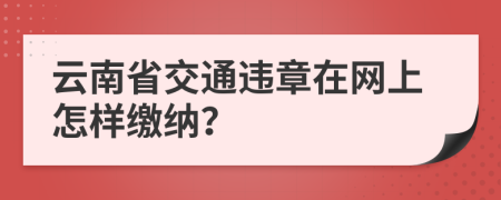 云南省交通违章在网上怎样缴纳？