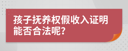 孩子抚养权假收入证明能否合法呢？