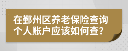 在鄞州区养老保险查询个人账户应该如何查？