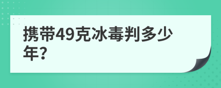 携带49克冰毒判多少年？