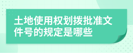 土地使用权划拨批准文件号的规定是哪些