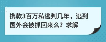 携款3百万私逃判几年，逃到国外会被抓回来么？求解