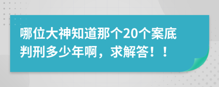 哪位大神知道那个20个案底判刑多少年啊，求解答！！