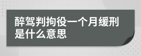 醉驾判拘役一个月缓刑是什么意思