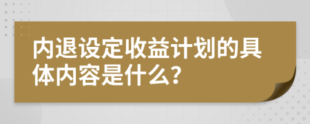 内退设定收益计划的具体内容是什么？