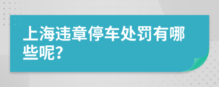 上海违章停车处罚有哪些呢？