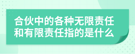 合伙中的各种无限责任和有限责任指的是什么