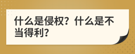 什么是侵权？什么是不当得利？