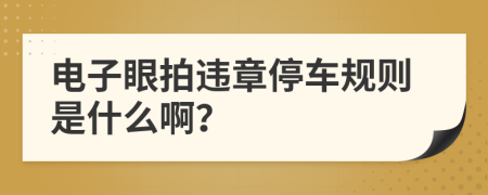 电子眼拍违章停车规则是什么啊？