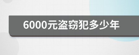 6000元盗窃犯多少年