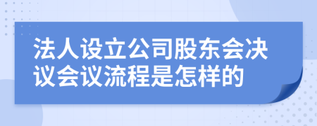 法人设立公司股东会决议会议流程是怎样的