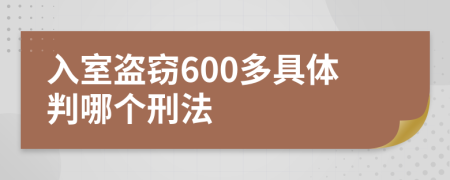 入室盗窃600多具体判哪个刑法