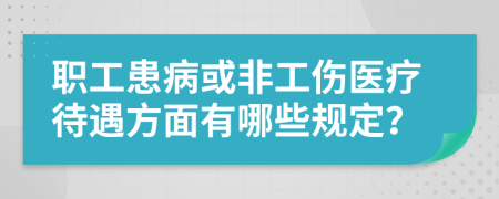 职工患病或非工伤医疗待遇方面有哪些规定？