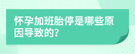 怀孕加班胎停是哪些原因导致的？