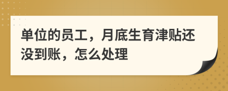 单位的员工，月底生育津贴还没到账，怎么处理