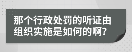 那个行政处罚的听证由组织实施是如何的啊？