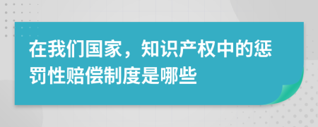 在我们国家，知识产权中的惩罚性赔偿制度是哪些