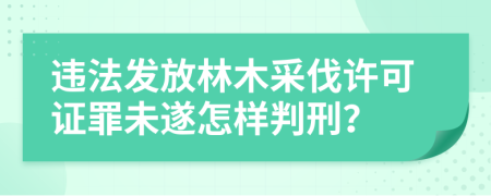 违法发放林木采伐许可证罪未遂怎样判刑？