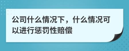 公司什么情况下，什么情况可以进行惩罚性赔偿