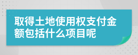 取得土地使用权支付金额包括什么项目呢