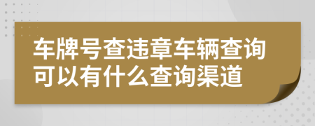 车牌号查违章车辆查询可以有什么查询渠道
