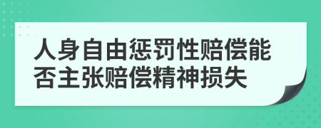 人身自由惩罚性赔偿能否主张赔偿精神损失