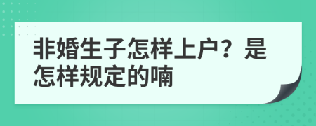 非婚生子怎样上户？是怎样规定的喃