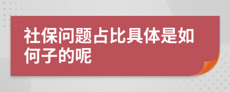 社保问题占比具体是如何子的呢