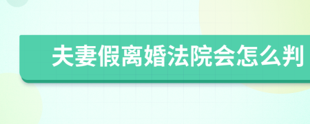 夫妻假离婚法院会怎么判