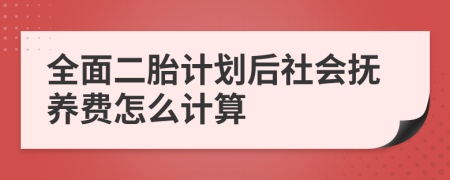 全面二胎计划后社会抚养费怎么计算