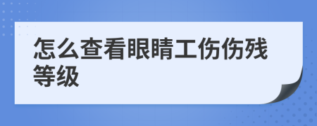 怎么查看眼睛工伤伤残等级