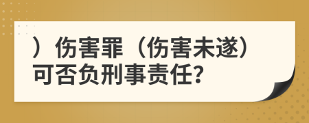 ）伤害罪（伤害未遂）可否负刑事责任？