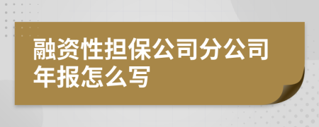 融资性担保公司分公司年报怎么写