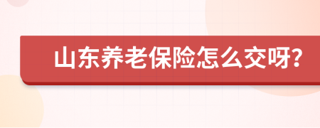 山东养老保险怎么交呀？