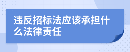 违反招标法应该承担什么法律责任