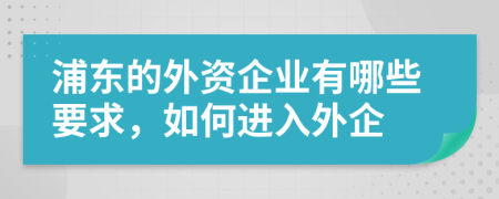 浦东的外资企业有哪些要求，如何进入外企