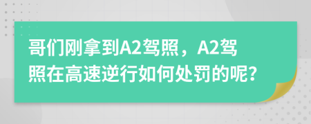 哥们刚拿到A2驾照，A2驾照在高速逆行如何处罚的呢？