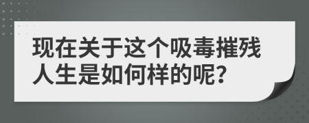 现在关于这个吸毒摧残人生是如何样的呢？