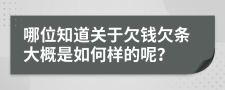 哪位知道关于欠钱欠条大概是如何样的呢？