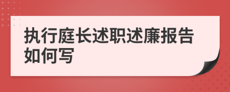 执行庭长述职述廉报告如何写