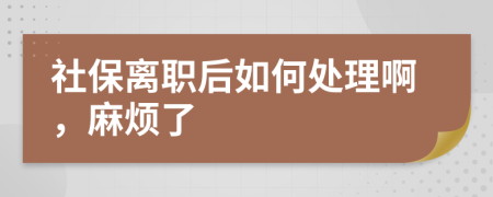 社保离职后如何处理啊，麻烦了